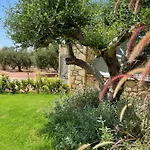 Entheon Olive - Poolside Retreats