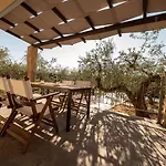 Villa Entheon Olive - Poolside Retreats Marathopoli