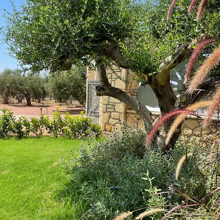 Entheon Olive - Poolside Retreats